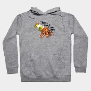 This is How I Live Now Hoodie